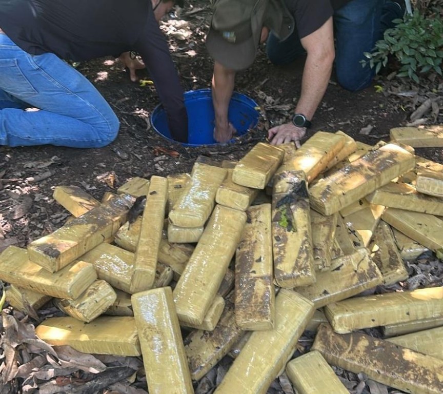 Polícia Civil apreende 305 tabletes de maconha enterrados nos fundos de imóvel em Rondonópolis
