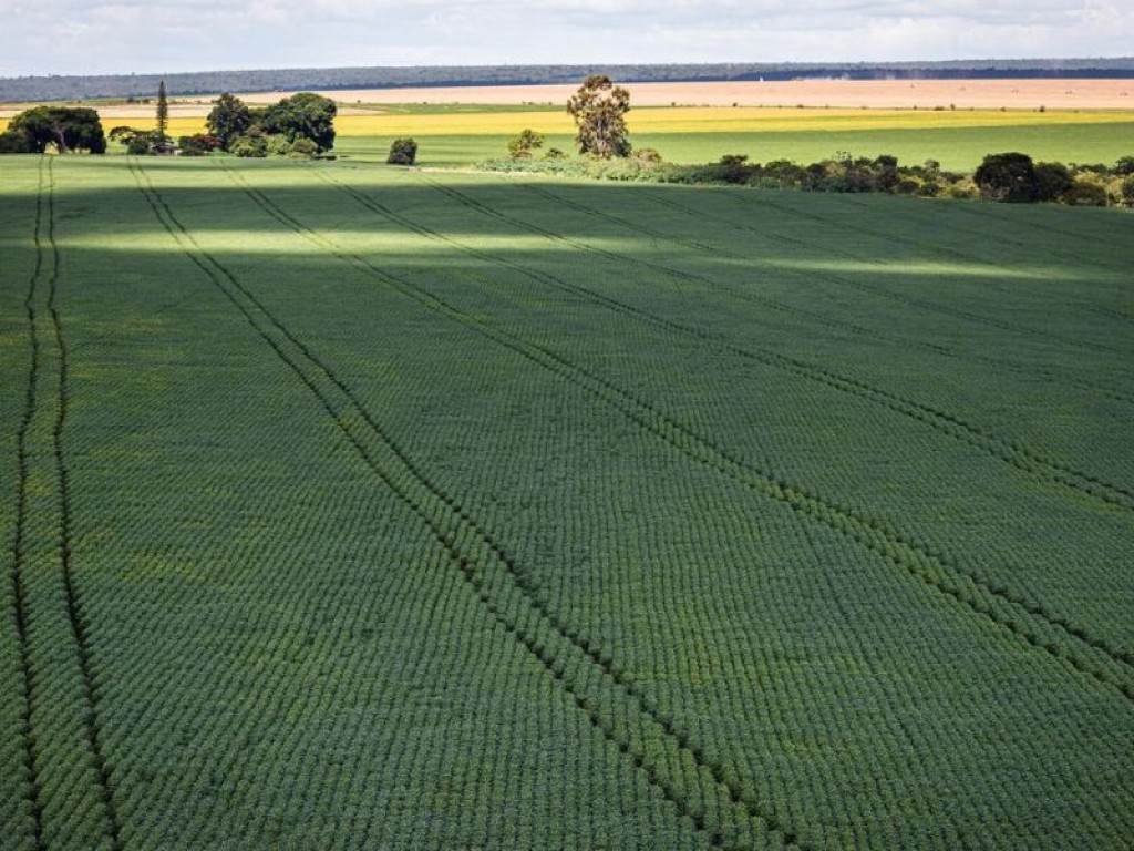 Agro atinge PIB recorde de R$ 279 bilhões e 24% da economia estadual