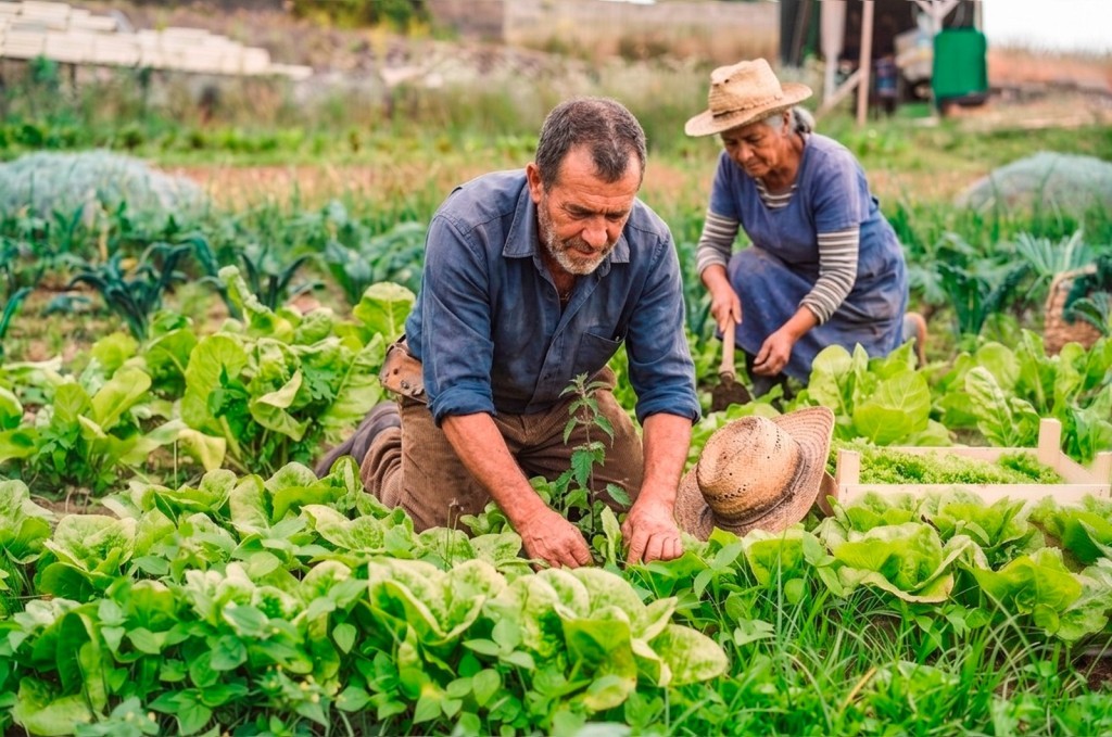 Chico Guarnieri articula entrega de 50 kits de ferramentas para agricultores familiares de Denise