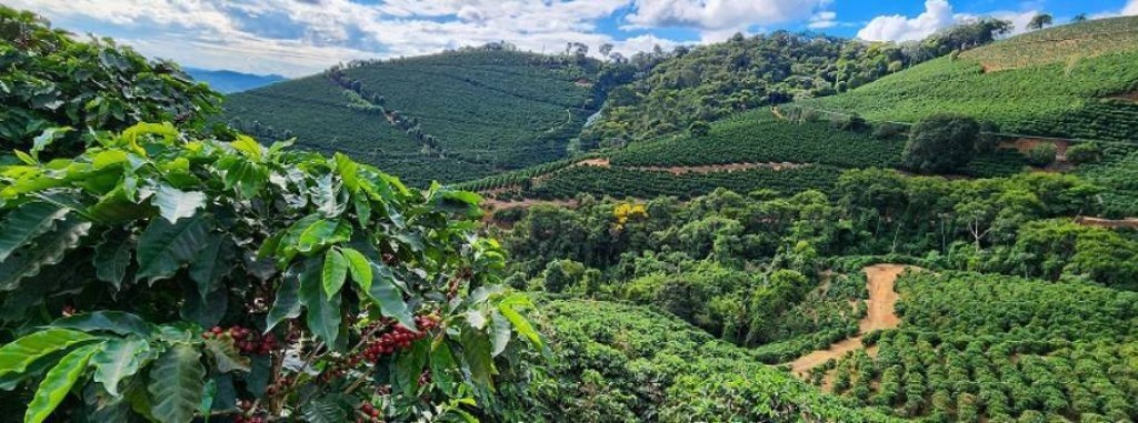 Agronegócio bate recordes em 2025, mas enfrenta desafios de crédito e clima