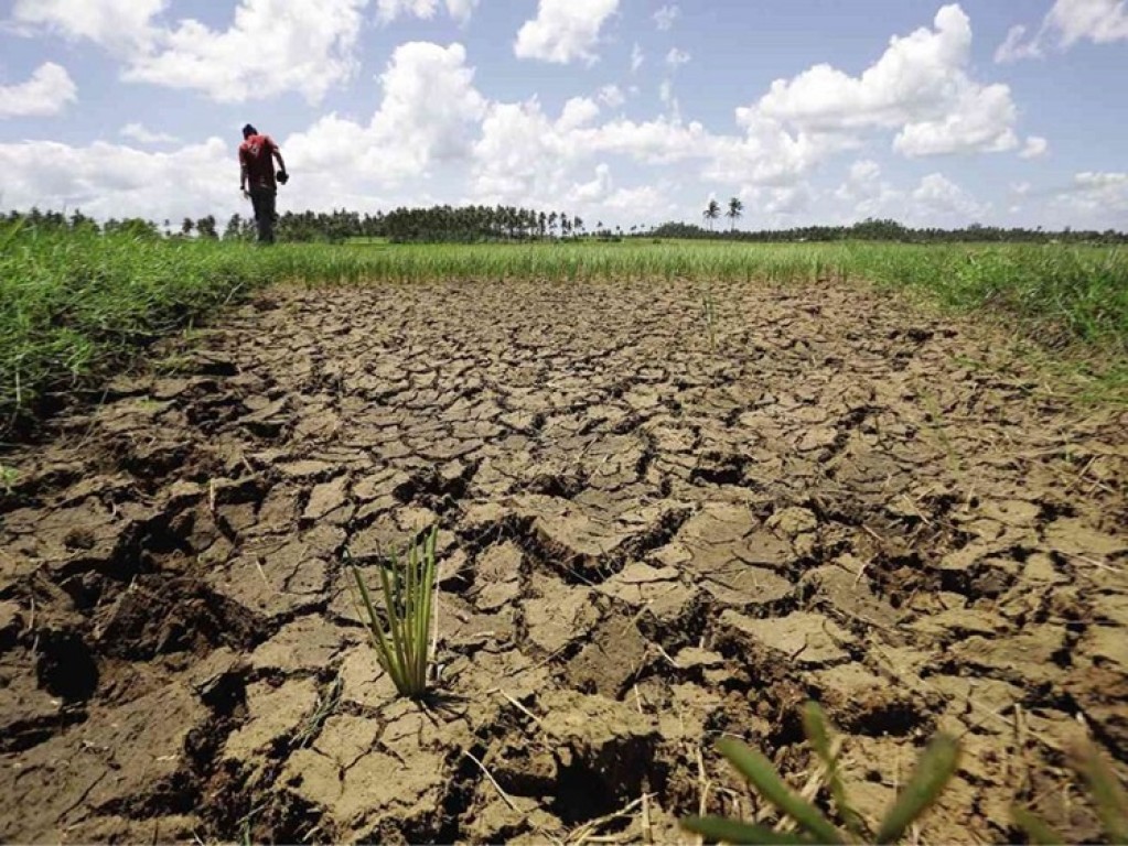 Injeção de R$ 2 milhões tenta resolver o maior gargalo da agricultura familiar