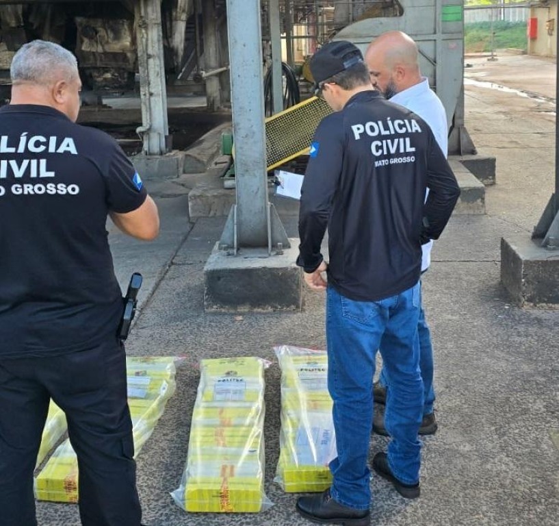 Polícia Civil incinera cerca de 109 quilos maconha apreendidos em Alto Araguaia e região