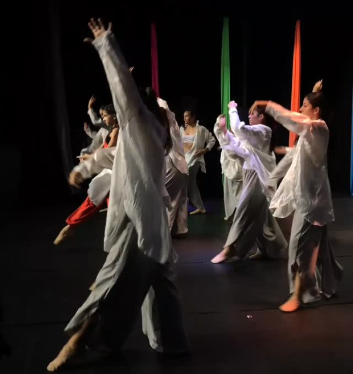 Estúdio de Alta Floresta participa de imersão pedagógica em escola de dança de Cuiabá