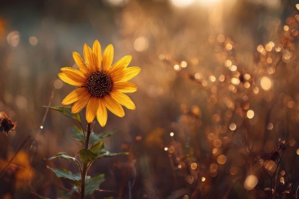 Setembro Amarelo: quando a falta de lugar no mundo mata