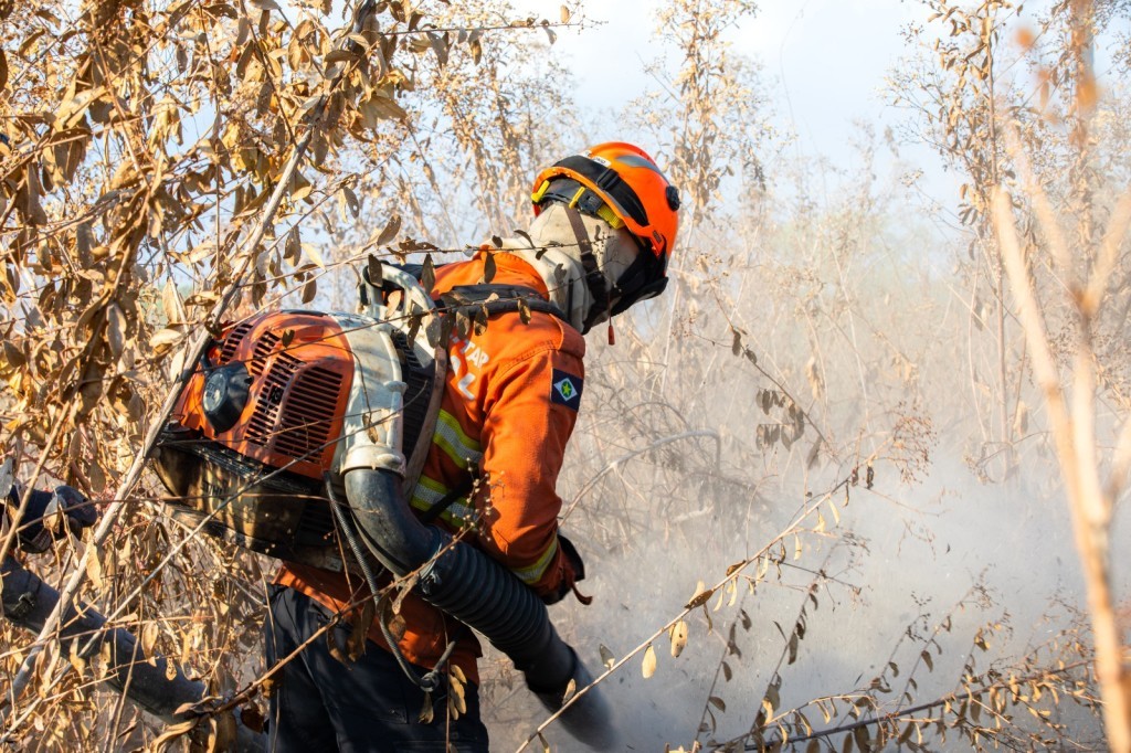 Corpo de Bombeiros combate seis incêndios florestais neste sábado (10)