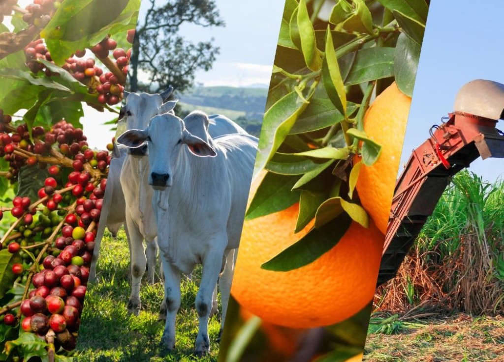 Agronegócio abre 2026 com superávit de R$ 14,4 bilhões nas exportações