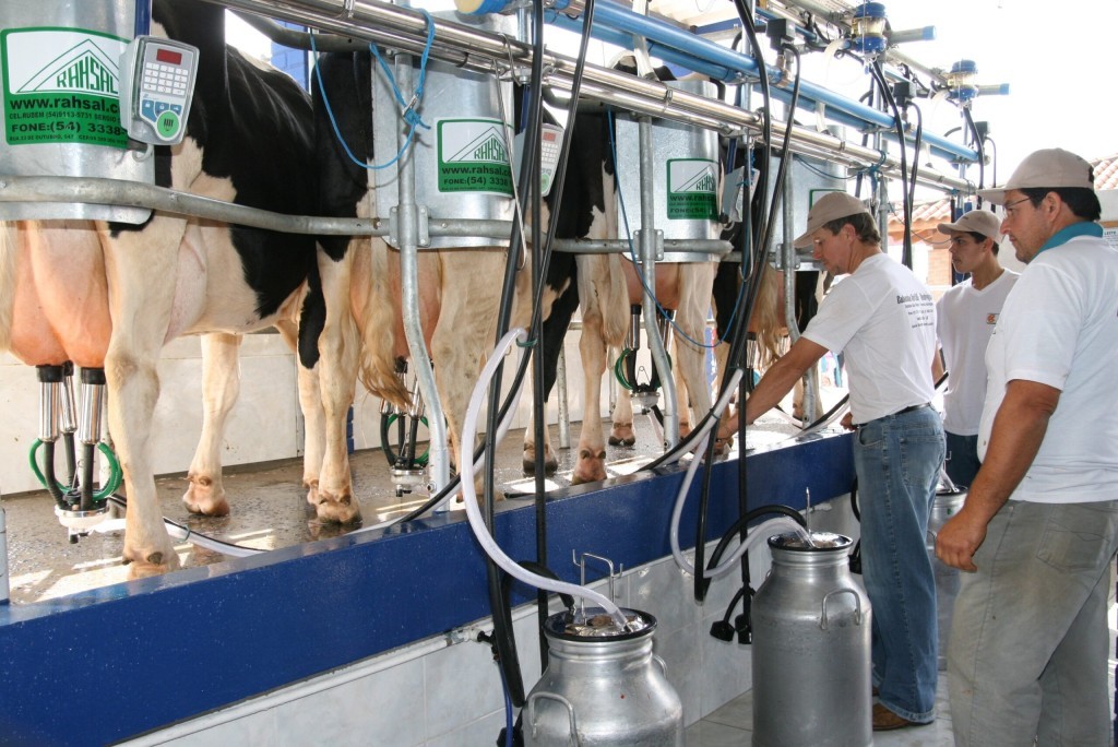 Estado lança pacote de medidas para fortalecer o agronegócio e proteger produtores de leite e aves