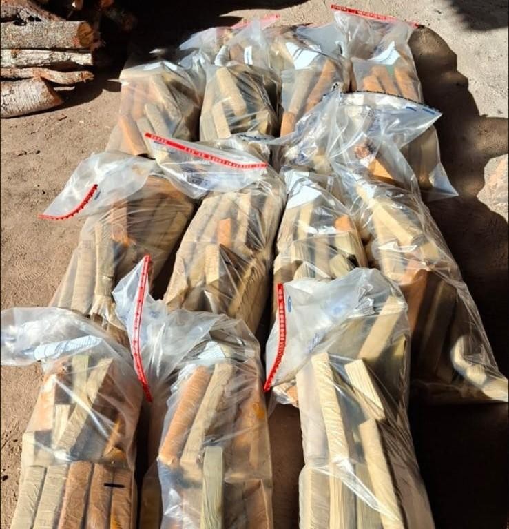 Polícia Civil incinera 40 quiPolícia Civil incinera 170 quilos de entorpecentes em Rosário Oestelos de entorpecentes em Campinápolis