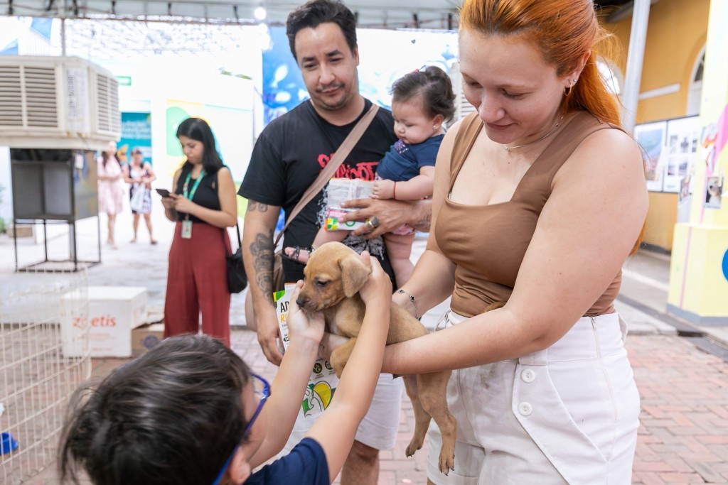 Prefeitura de Cuiabá realiza Feira de Adoção e credenciamento para vacinação no Parque Tia Nair