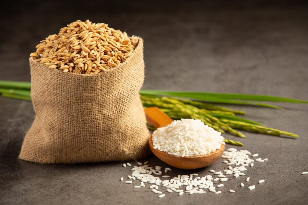 Arroz supera R$ 63 e mercado prevê safra menor em 2026/27