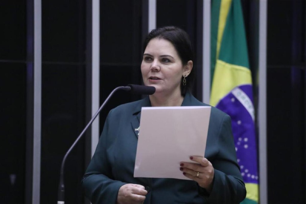 Comissão da Câmara aprova “escudo” para responder a barreiras ambientais