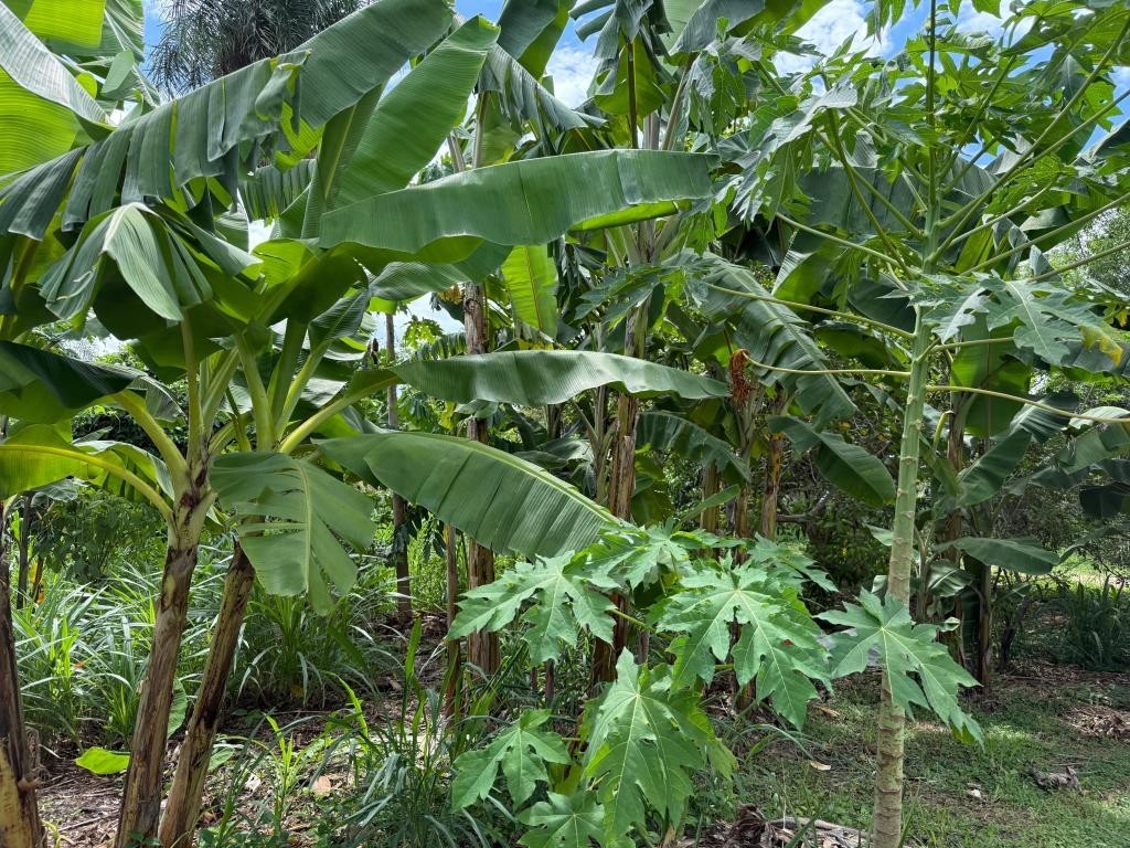 Expedição MT Produtivo mobiliza cooperativas e produtores da agricultura familiar para acesso a recursos públicos