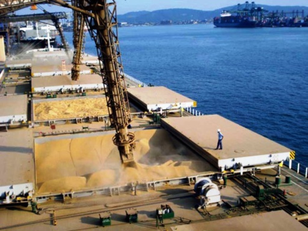 Brasil amplia liderança e responde por mais da metade das exportações globais
