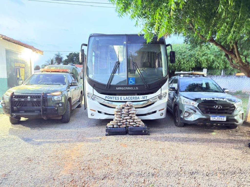 Polícia Militar e Gefron apreendem 31 tabletes de maconha escondidos em bagageiro de ônibus