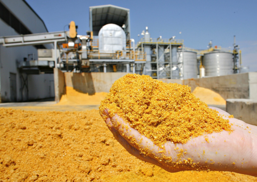 Subproduto do etanol de milho ganha espaço nas exportações