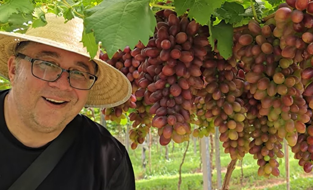 Turismo rural e viticultura reposicionam pequenas propriedades no Sul do País
