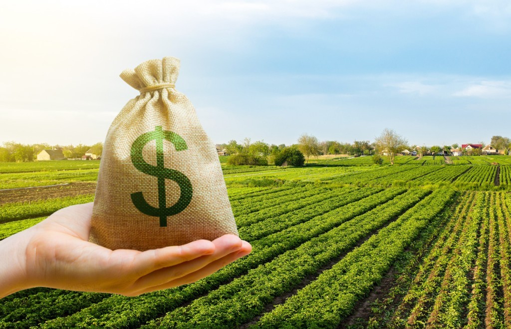 Impasse entre parlamentares e governo trava socorro financeiro ao agronegócio