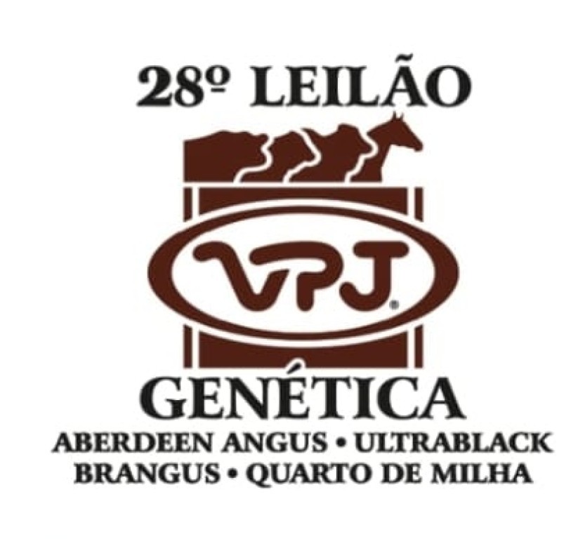 Touros do 28º Leilão VPJ Genética ganham status de Fundo de Royalties em ativo biológico