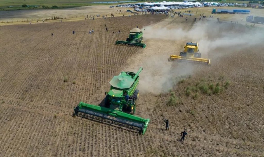 Abrapa, Aprosoja, Ampa, Famato e CNA querem um “Fundo Garantidor” para custeio rural