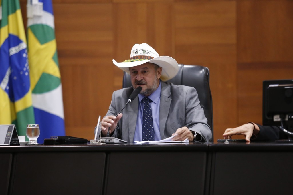Cattani critica proposta de restringir biomassa nativa e diz que medida pode prejudicar setor florestal
