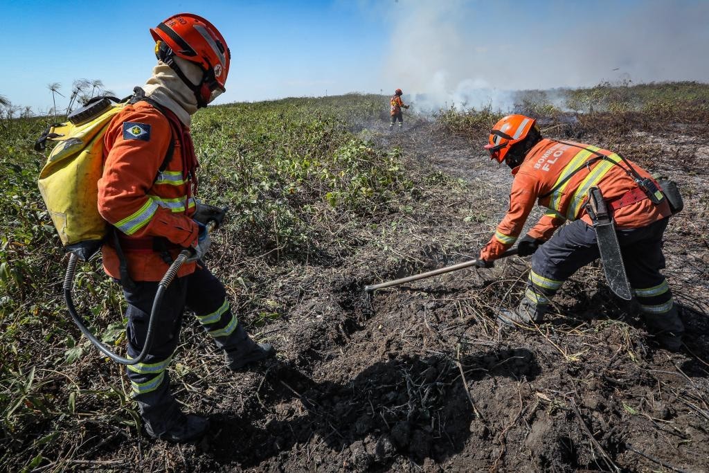 Corpo de Bombeiros abre 150 vagas para brigadistas temporários para reforçar combate aos incêndios florestais em MT