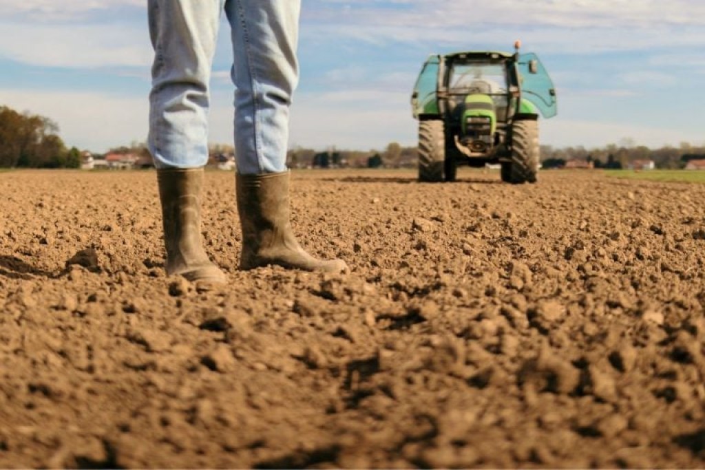Dívidas, reforma tributária e sucessão entram no radar jurídico do produtor rural