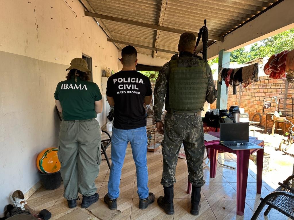 Operação contra o tráfico de fauna resulta na apreensão de 25 aves silvestres em Nova Xavantina