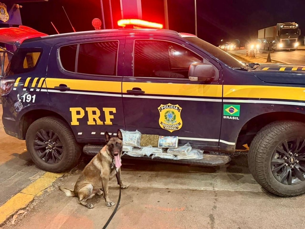 PRF apreende droga durante fiscalização na BR-364, em Rondonópolis (MT)