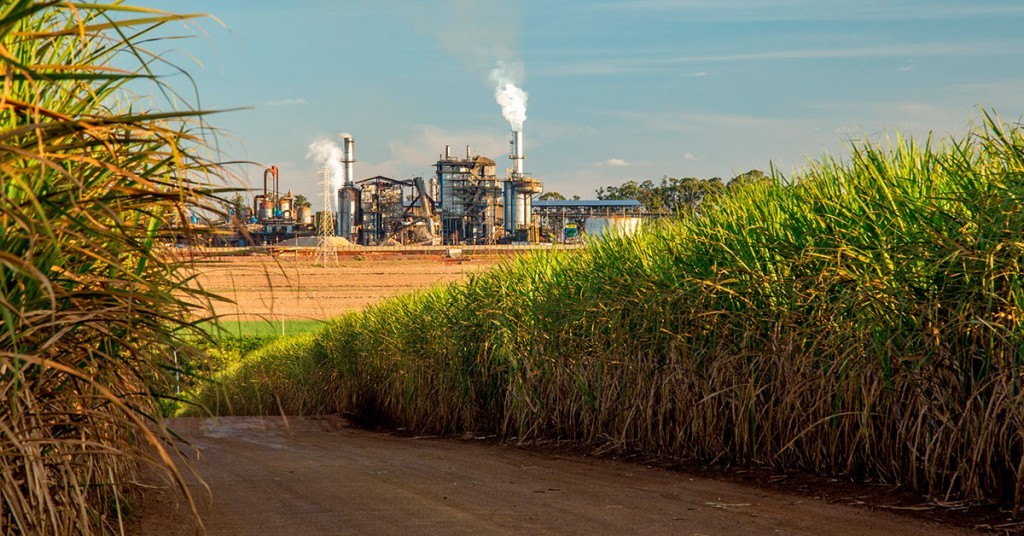 Safra de cana no Centro-Sul atinge 9,17 milhões de hectares