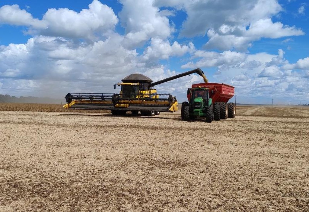 Agro supera queda de volume e fatura R$ 6,39 bilhões com exportações em junho