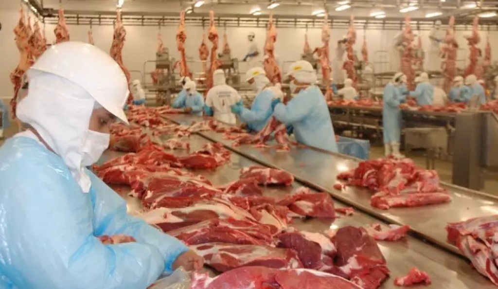 Embargo europeu freia na alta do boi mesmo com nova cota dos EUA